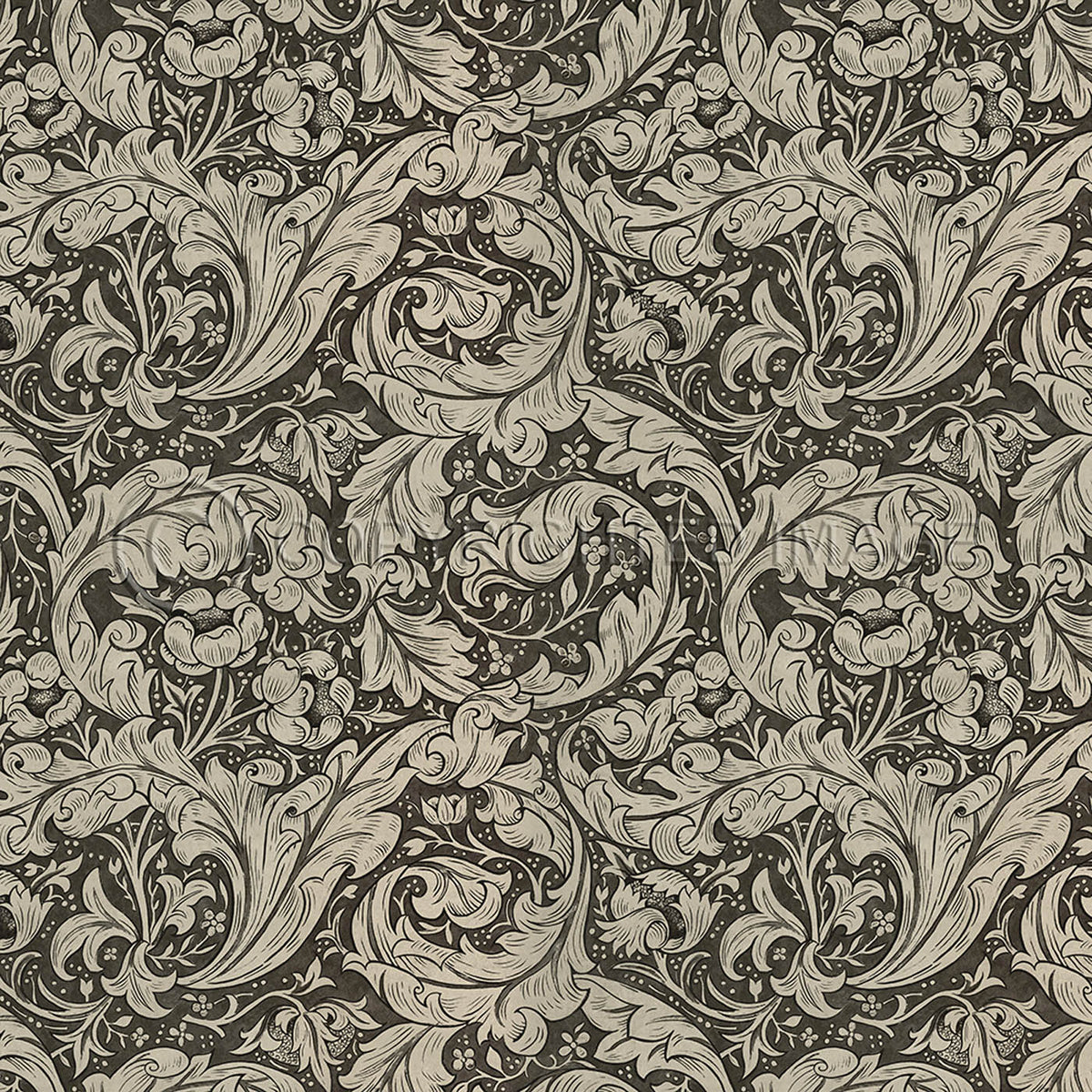 Bachelors Button  Black and Linen 48x48