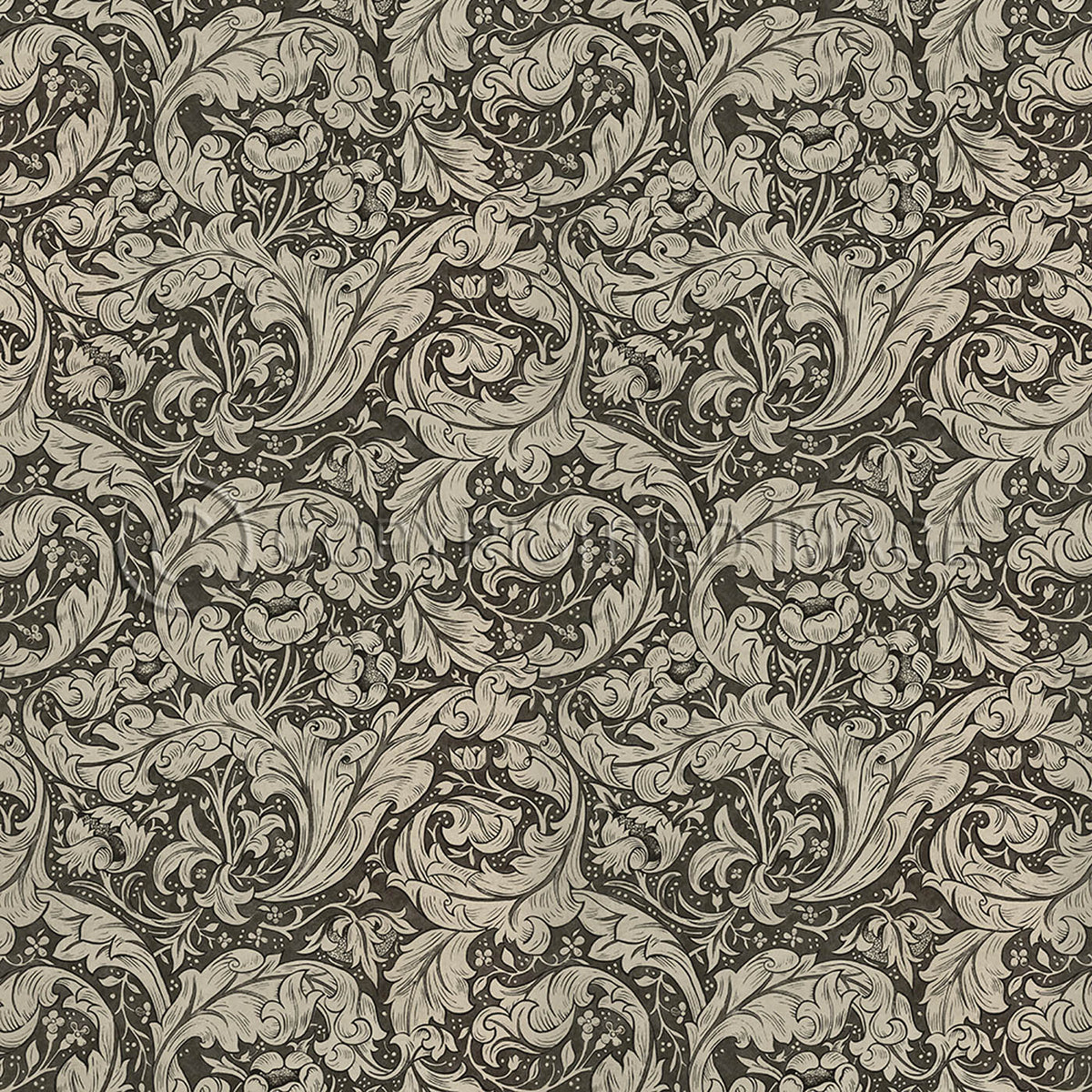 Bachelors Button  Black and Linen 60x60