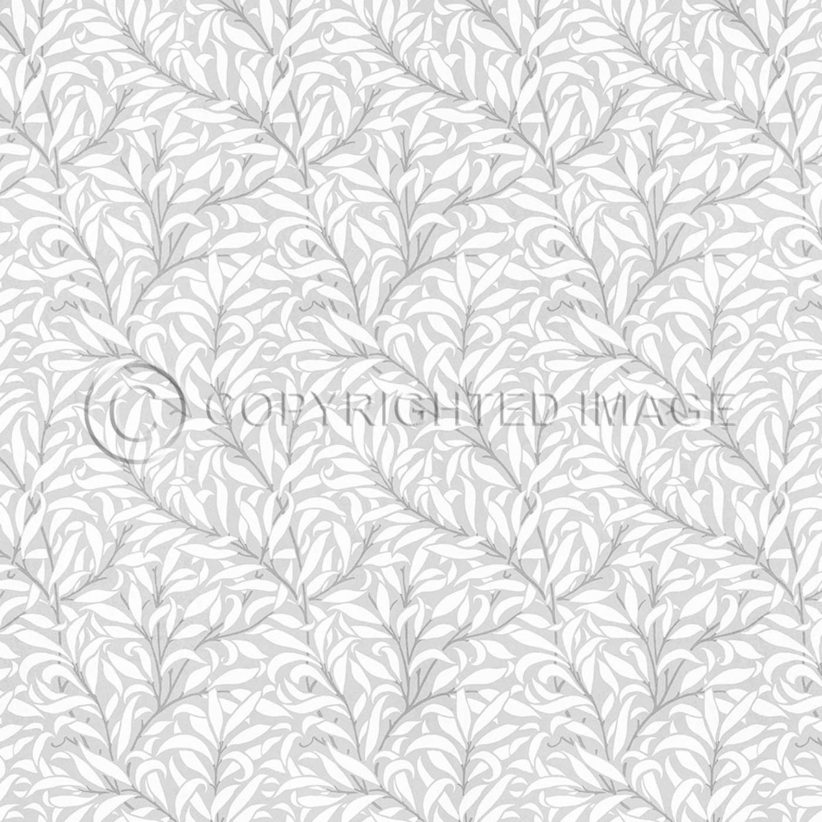 Willow Bough  Chalk 36x36