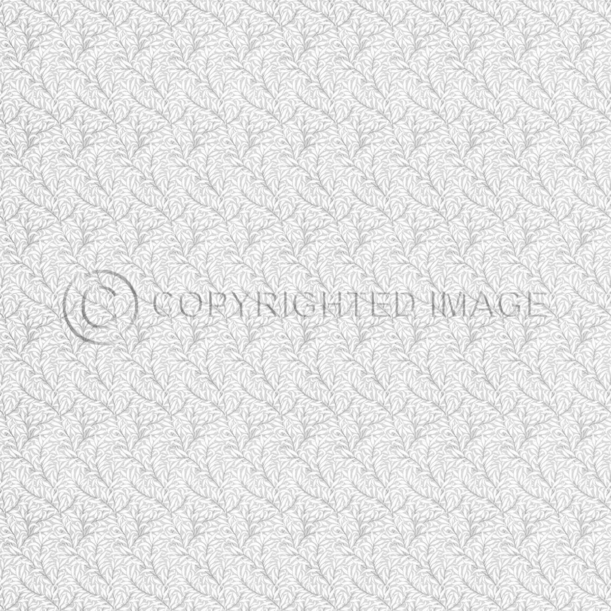 Willow Bough  Chalk 120x120