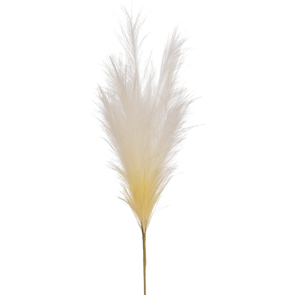 Plume Stem