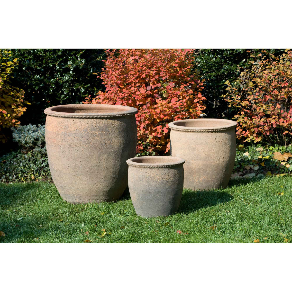Egg Pot