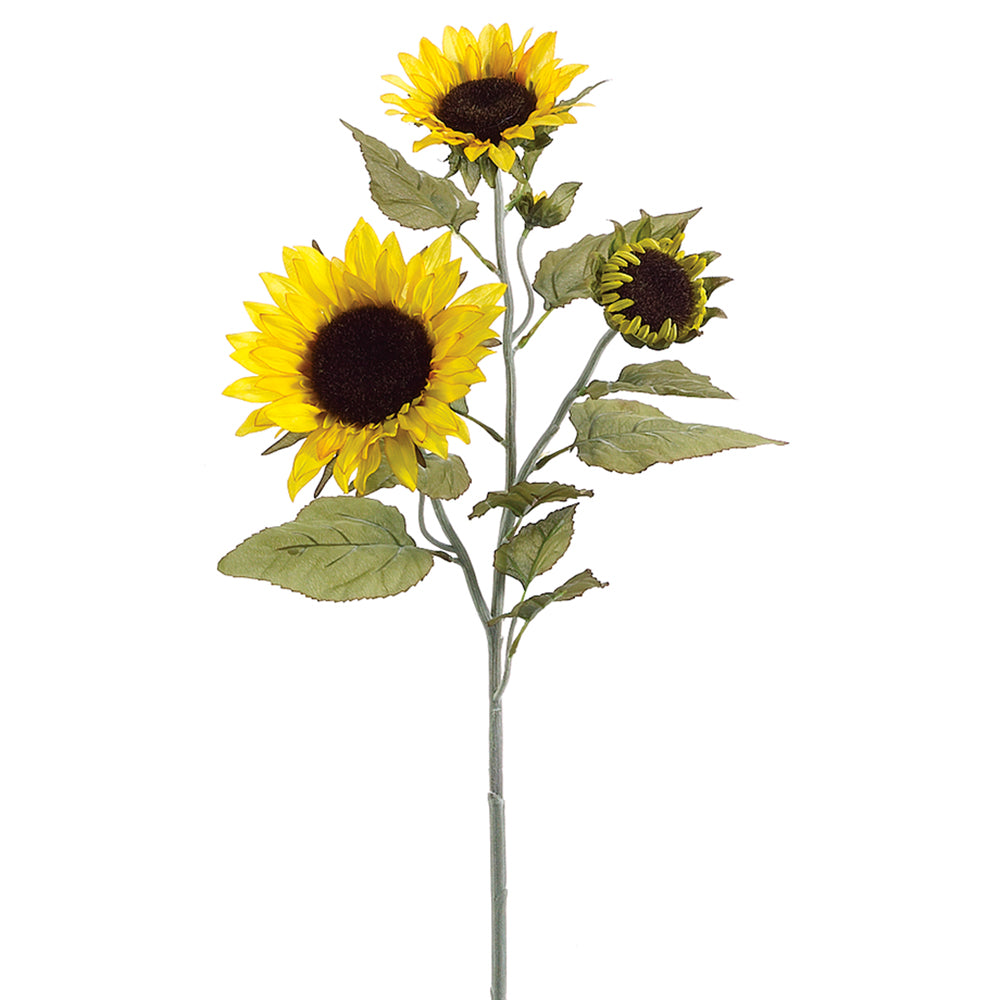 Sunflower Spray