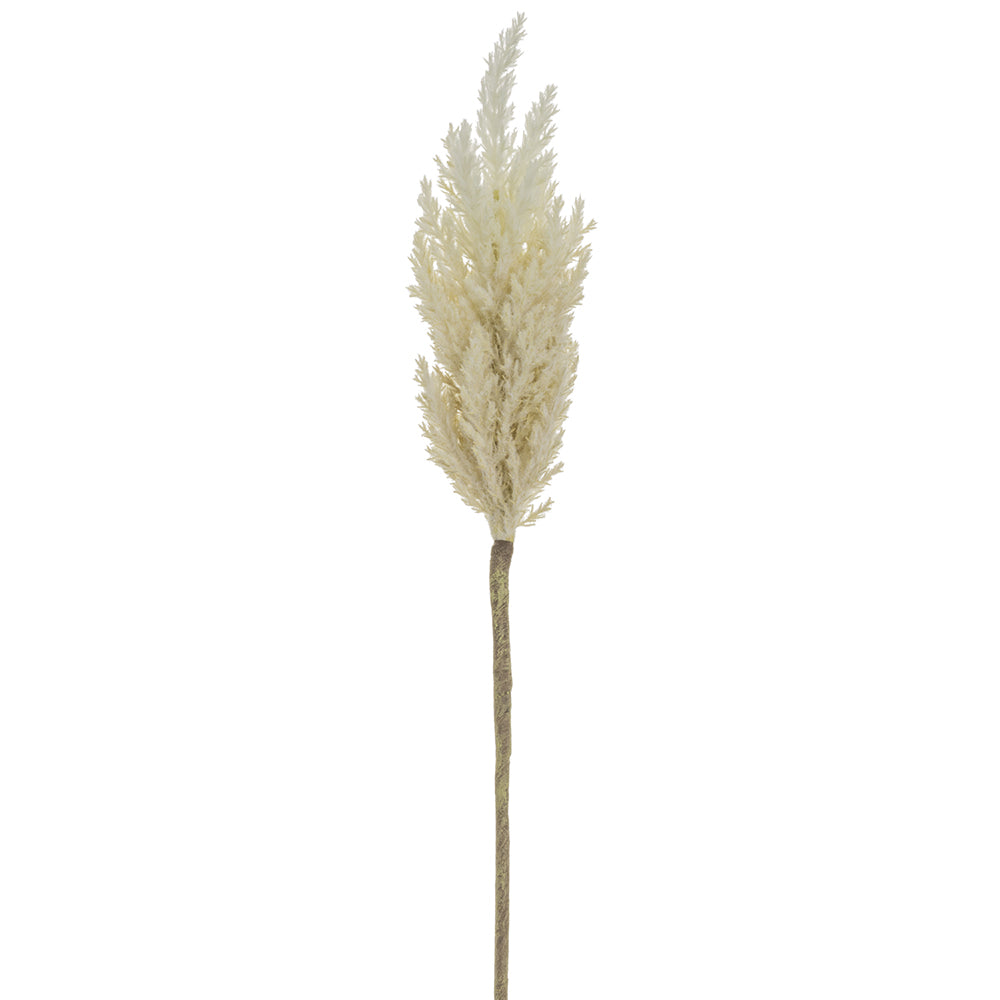 Pampas Grass Stem
