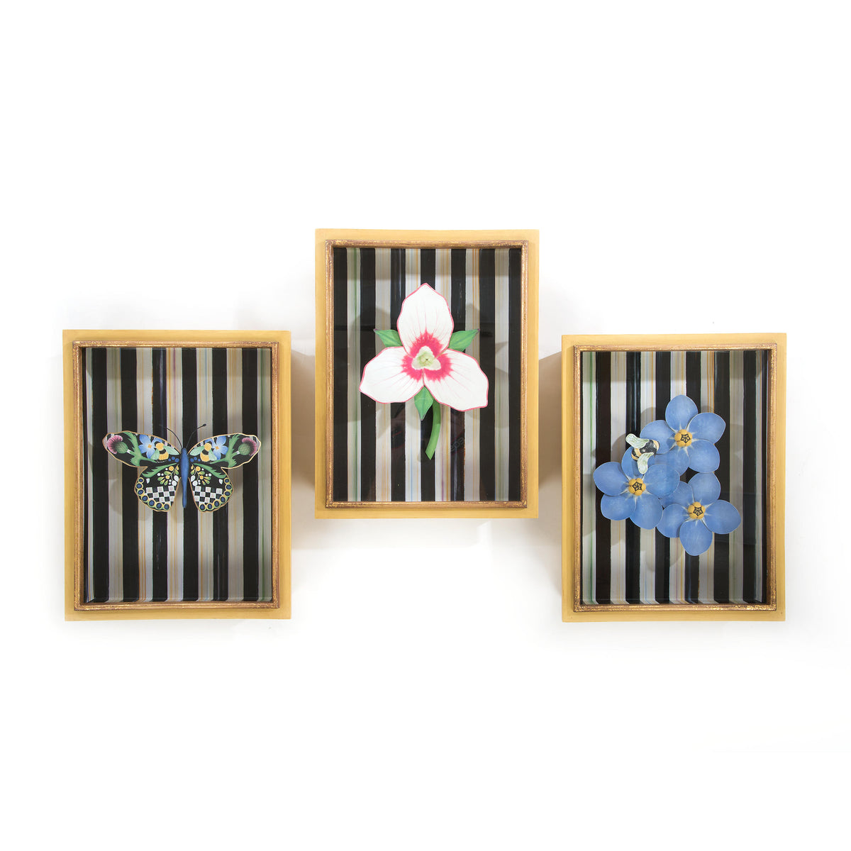 Butterfly Shadow Box