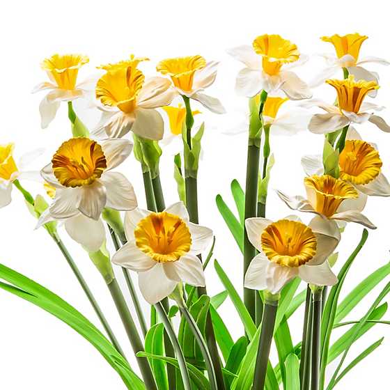 Daffodil Centerpiece