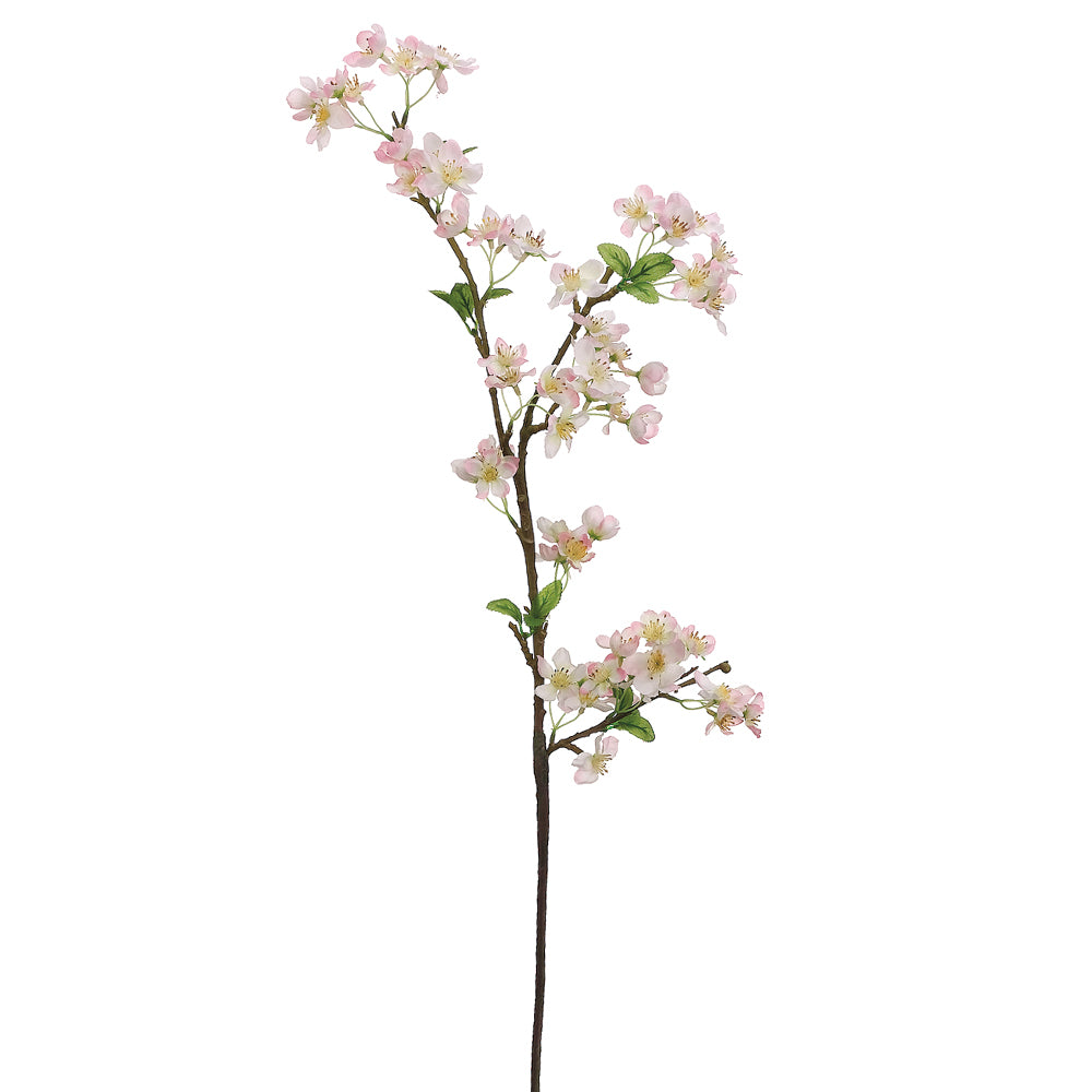 Apple Blossom Pink
