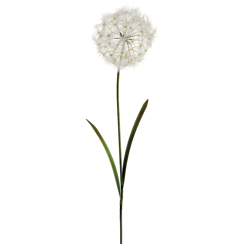 Dandelion Stem