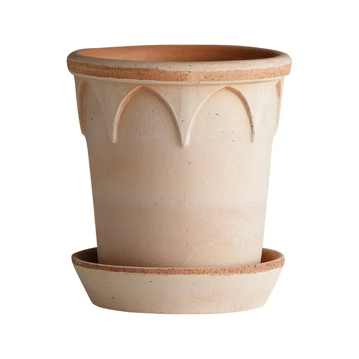 The Elizabeth Pot Collection