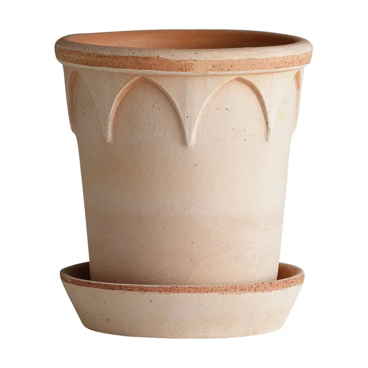 The Elizabeth Pot Collection