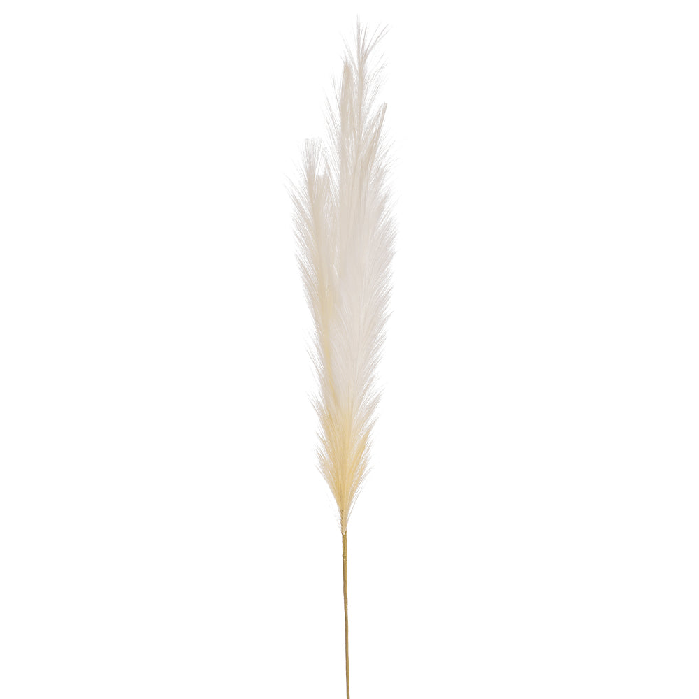 Plume Stem