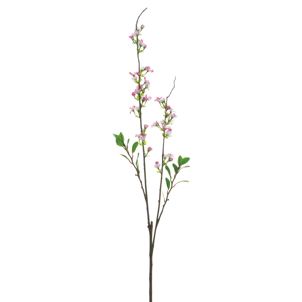 Blossom Branch
