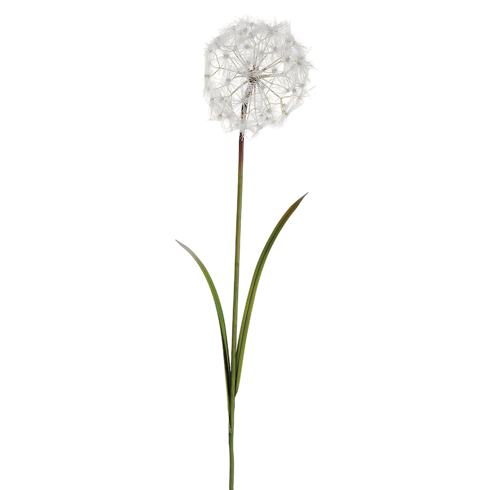 Dandelion Cream