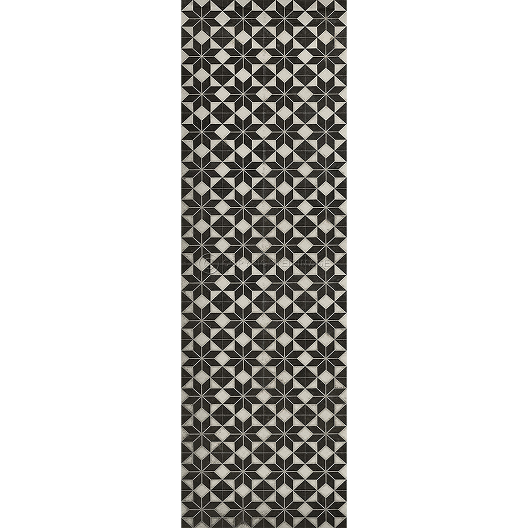 Pattern 20 Stargazer no border      36x115