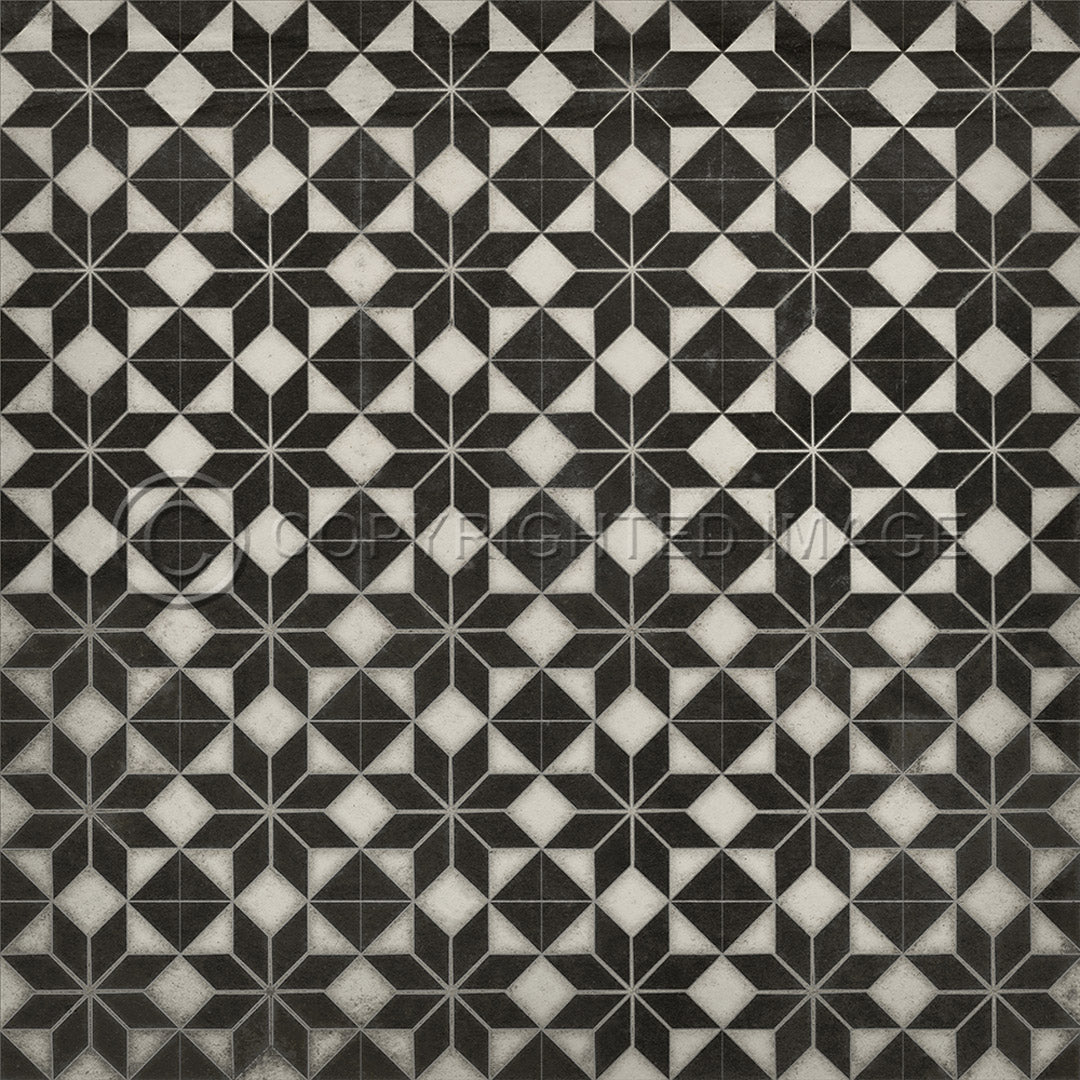 Pattern 20 Stargazer no border      48x48