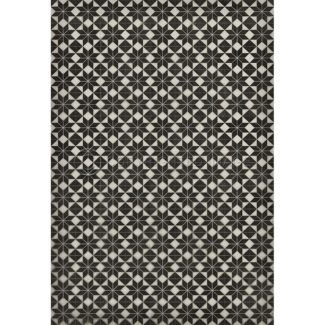 Pattern 20 Stargazer no border      96x140