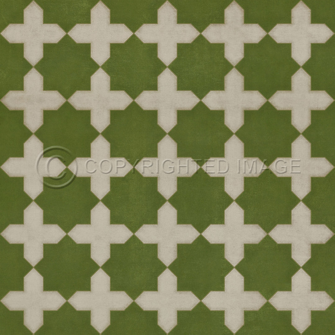 Pattern 23 Nor Any Green Thing     48x48