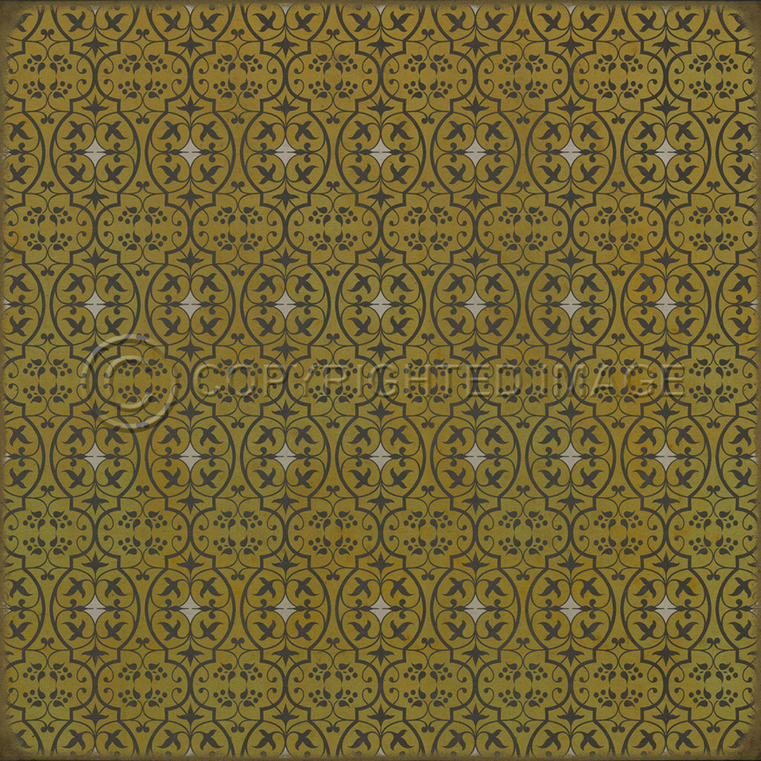 Pattern 51 Keep your face to the sun   48x48