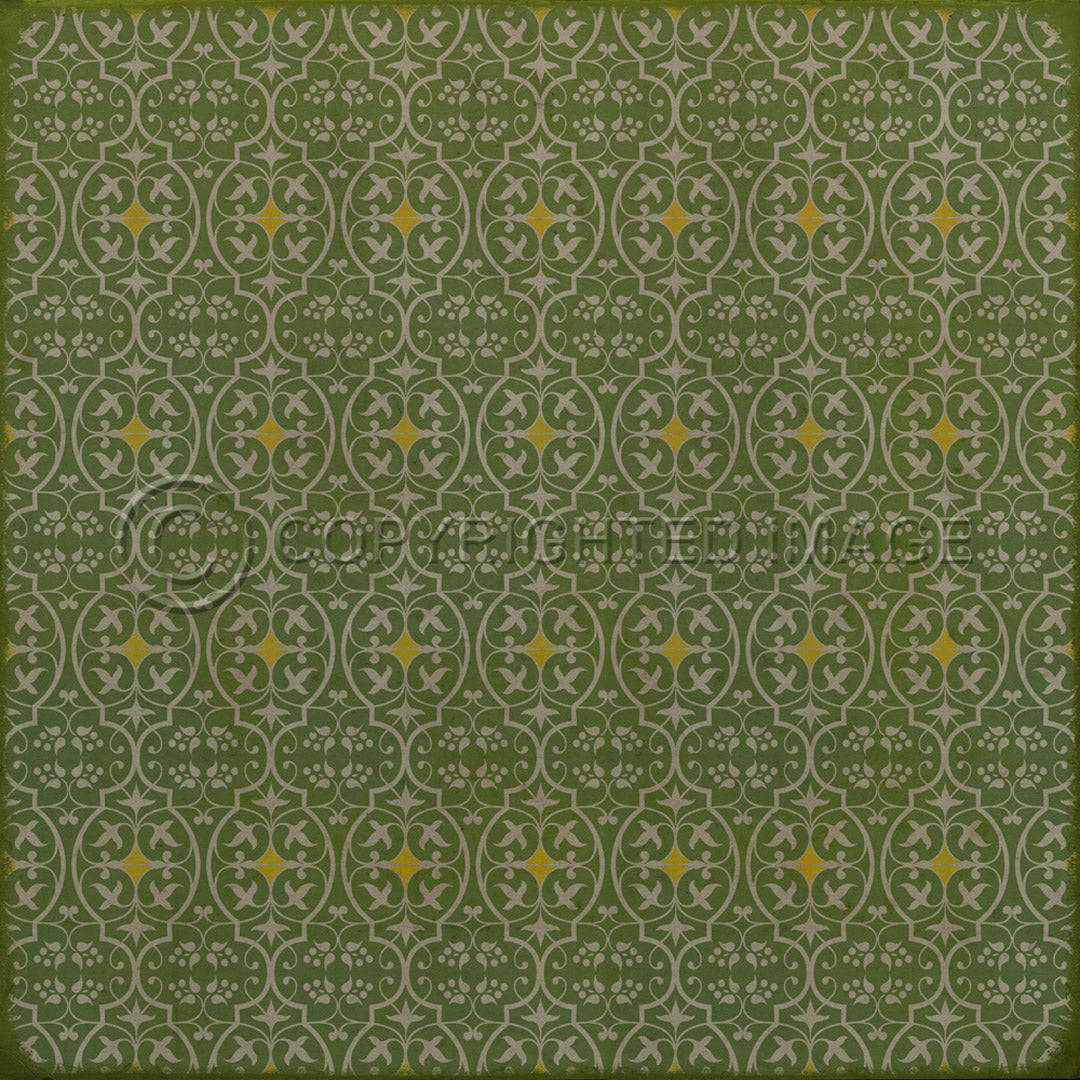 Pattern 51 the Spring of Hope     60x60