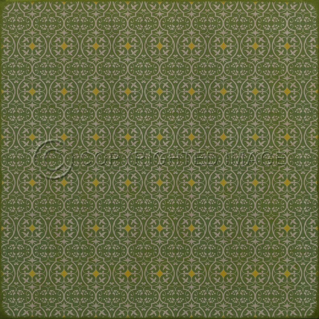 Pattern 51 the Spring of Hope     96x96