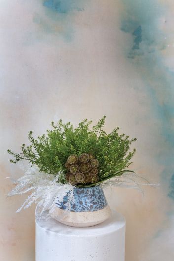 Cove Pot