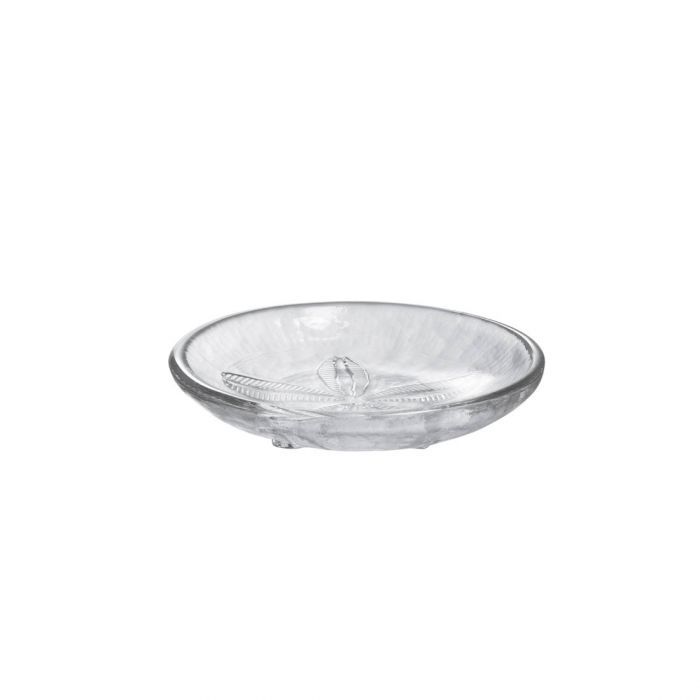 Sand Dollar Plate