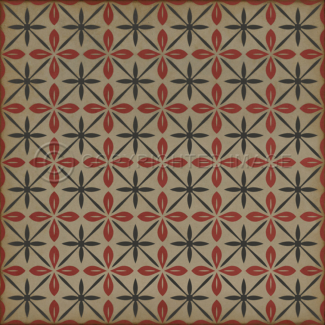 Pattern 81 the Soda Jerk      48x48