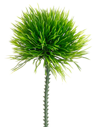 Moss Grass Stem