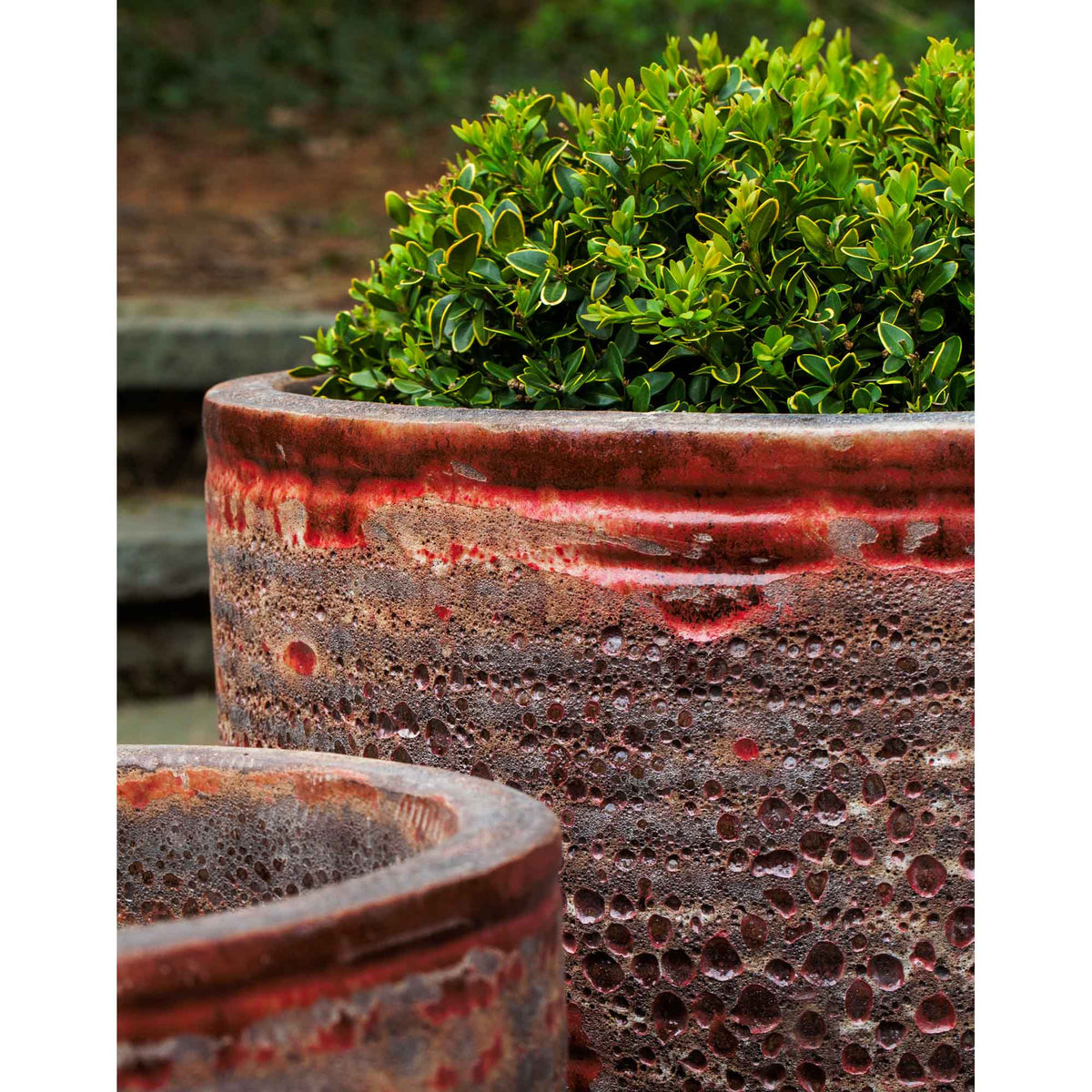 Aspara Planter Set of 4