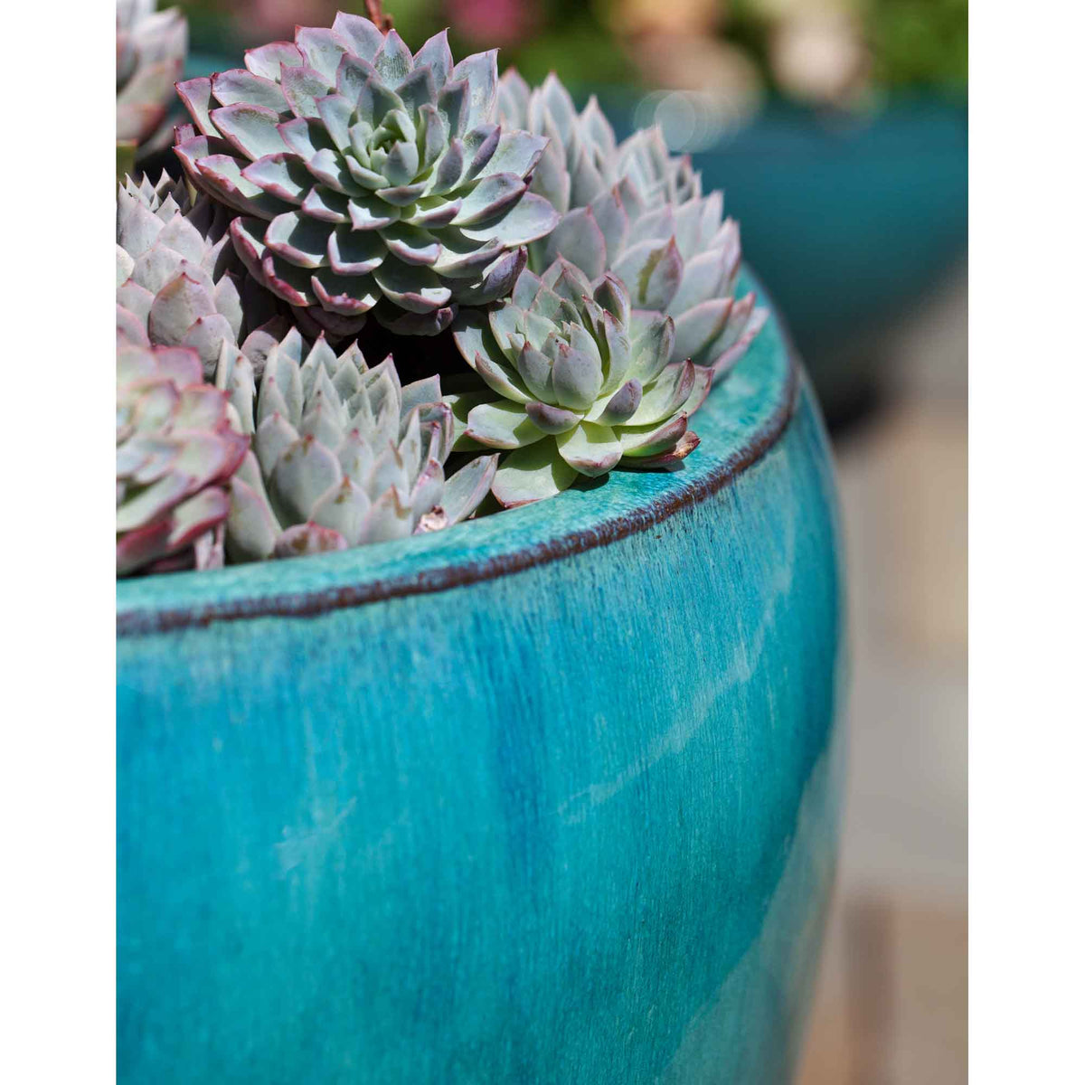 Ellesmere Planter Set of 3