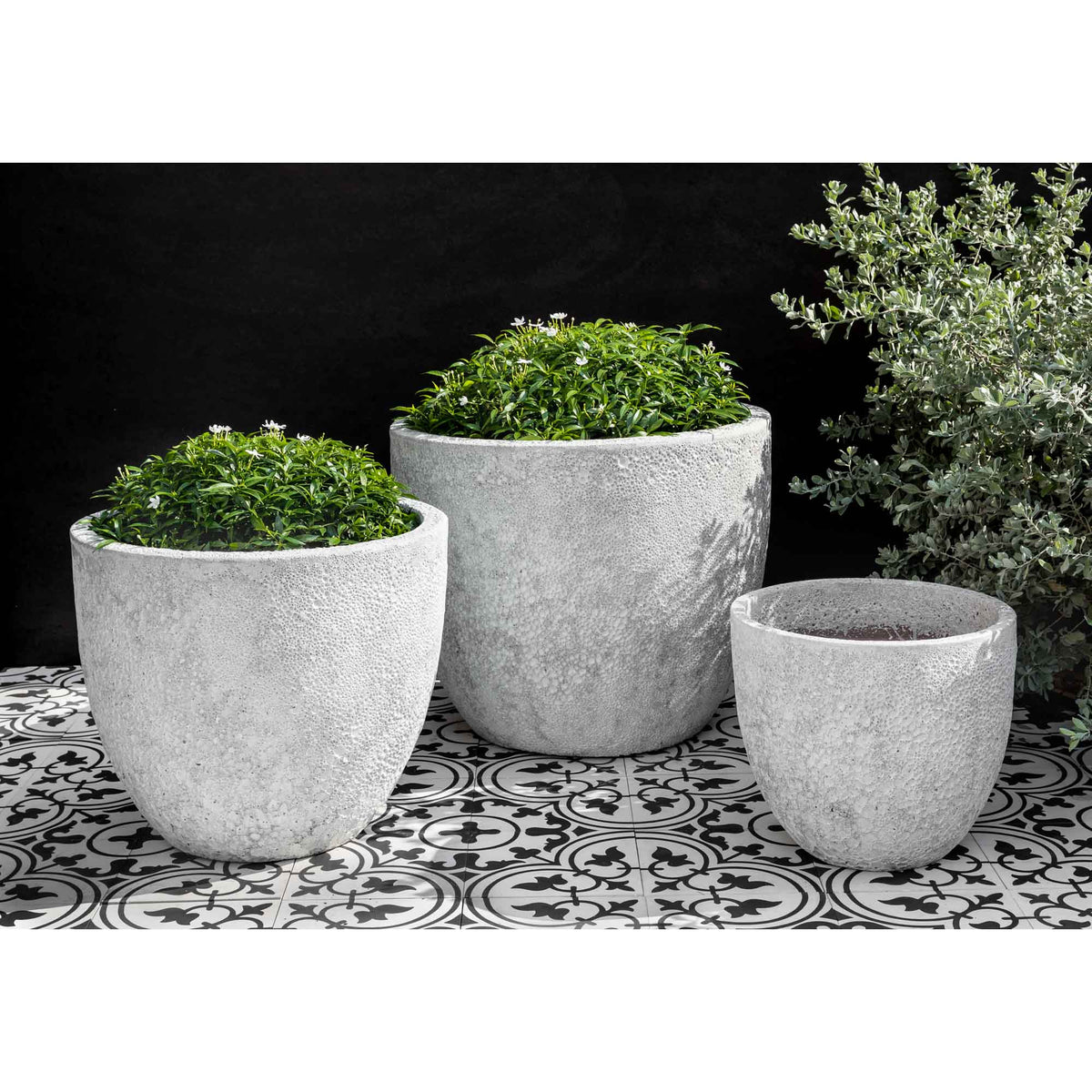 Caipirinha Planter