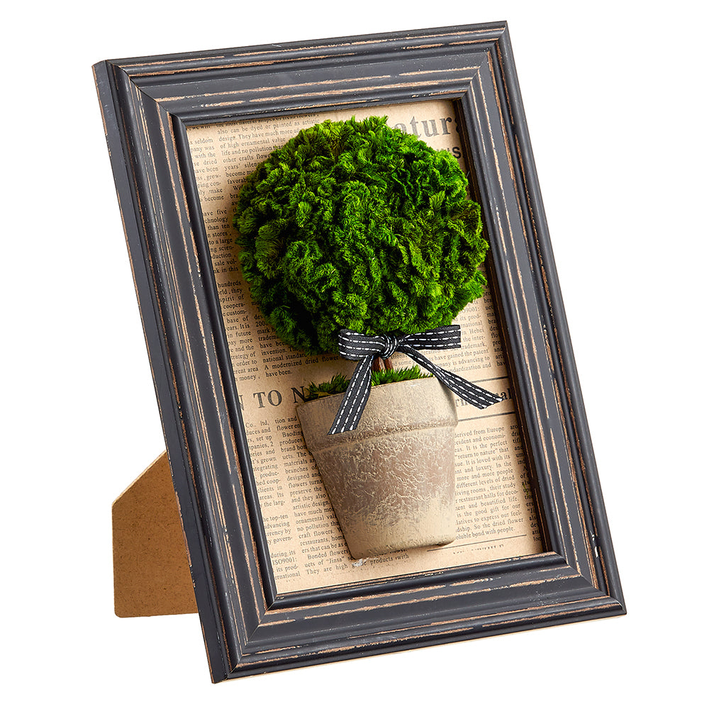 Preserved Moss Standard Topiary