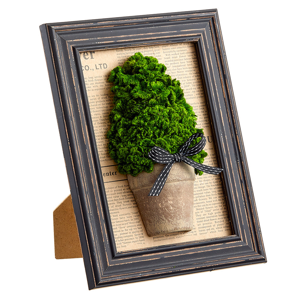Preserved Moss Cone Topiary