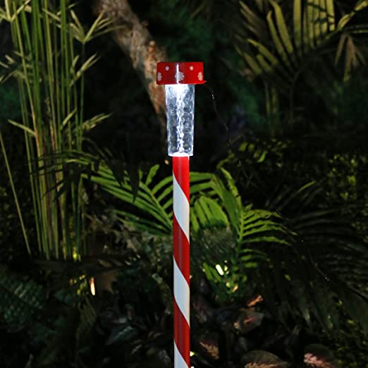 Holiday Pathway Lights