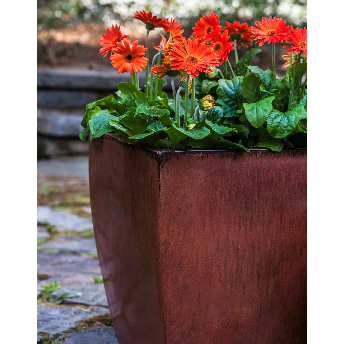 Blake Planter Set of 4