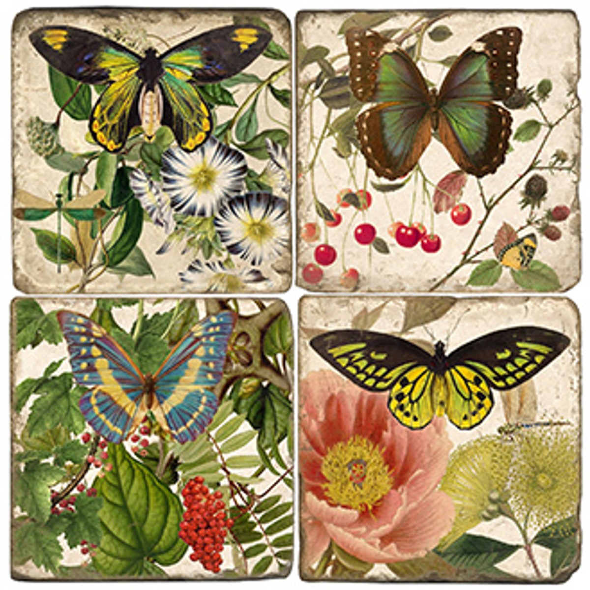 Butterfly Botanical Coasters - Set of 4