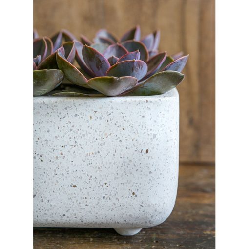 Geo Rectangular Footed Planter Set of 4