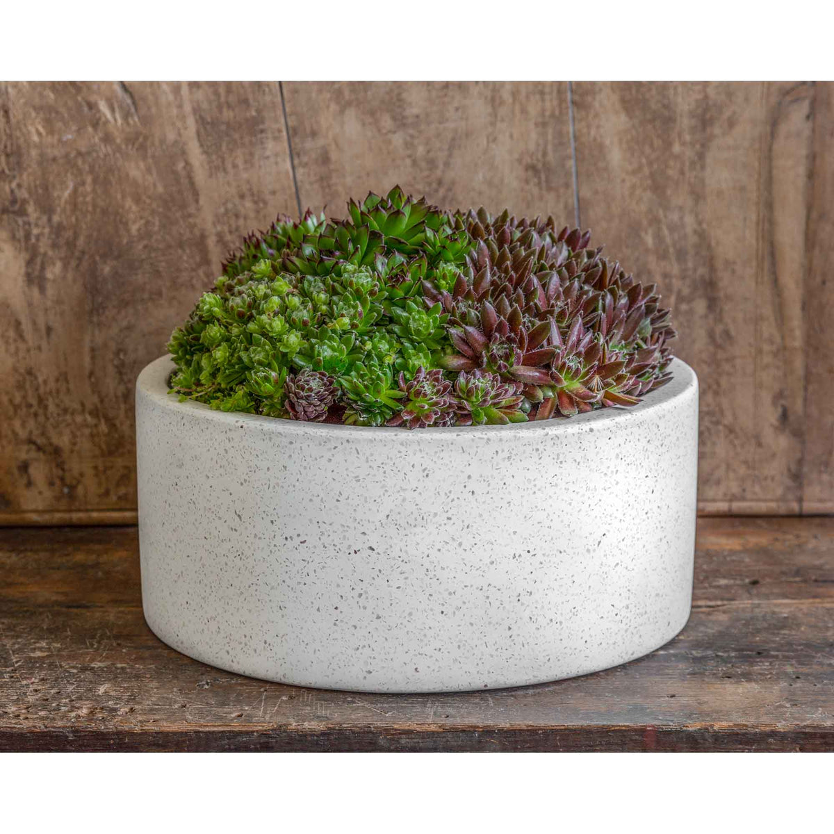 Geo Cylinder Planter Set of 4