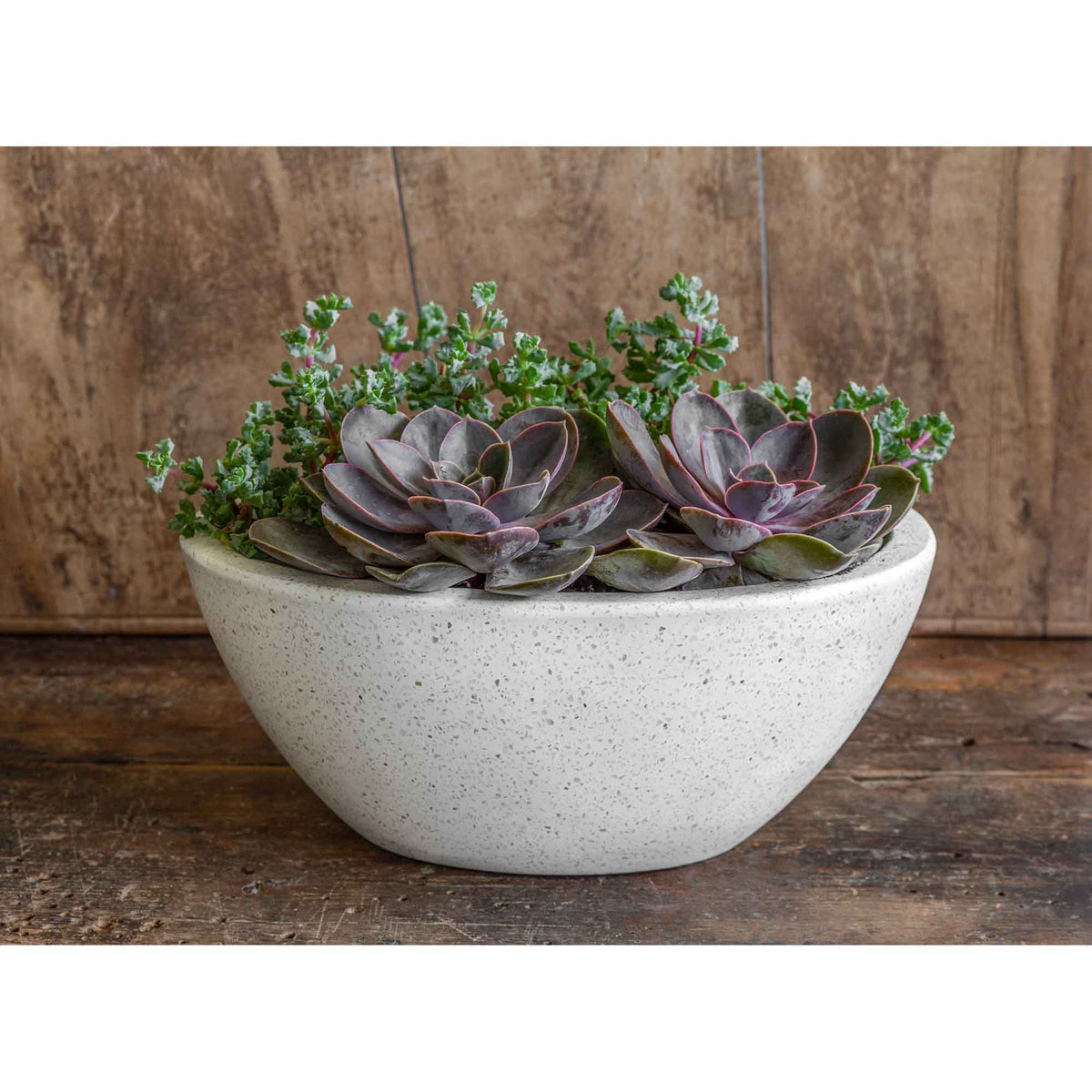 Geo Oval Planter Set of 4