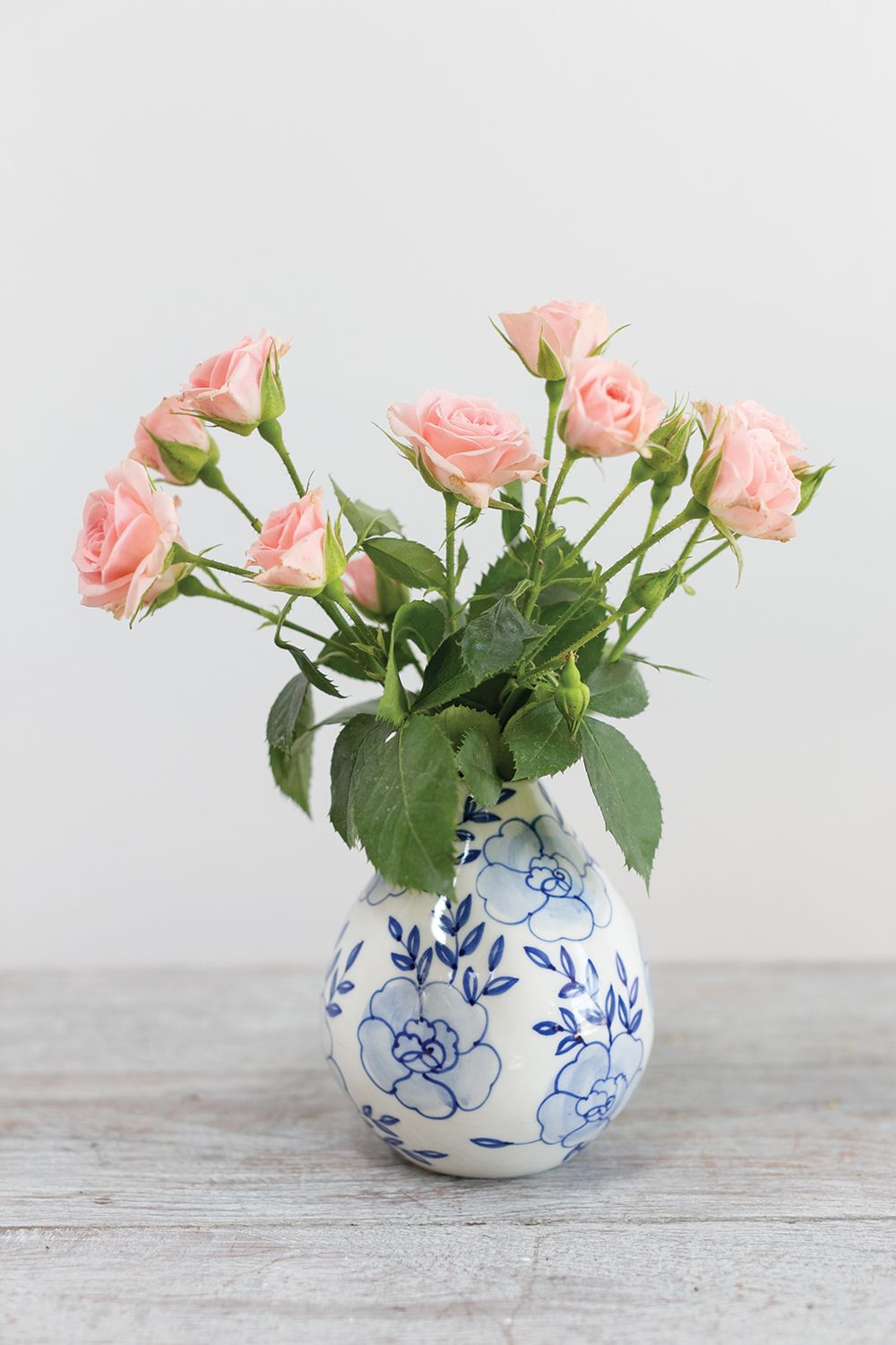 Eleanor Budvase