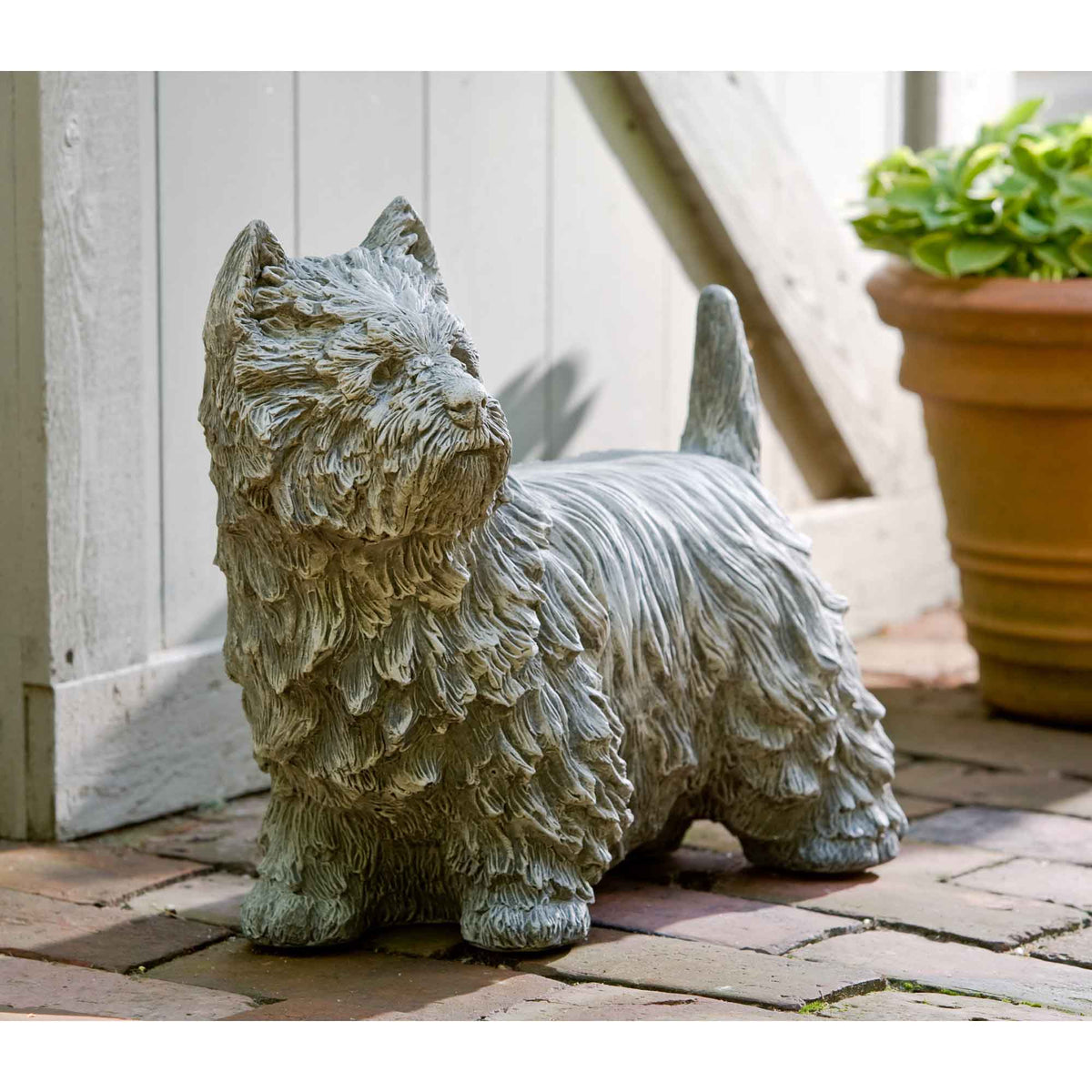 Westie