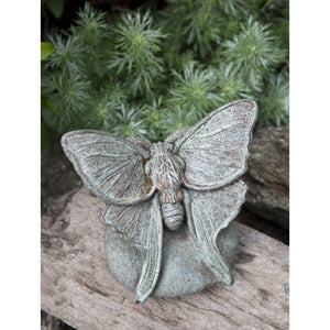 Lunar Moth