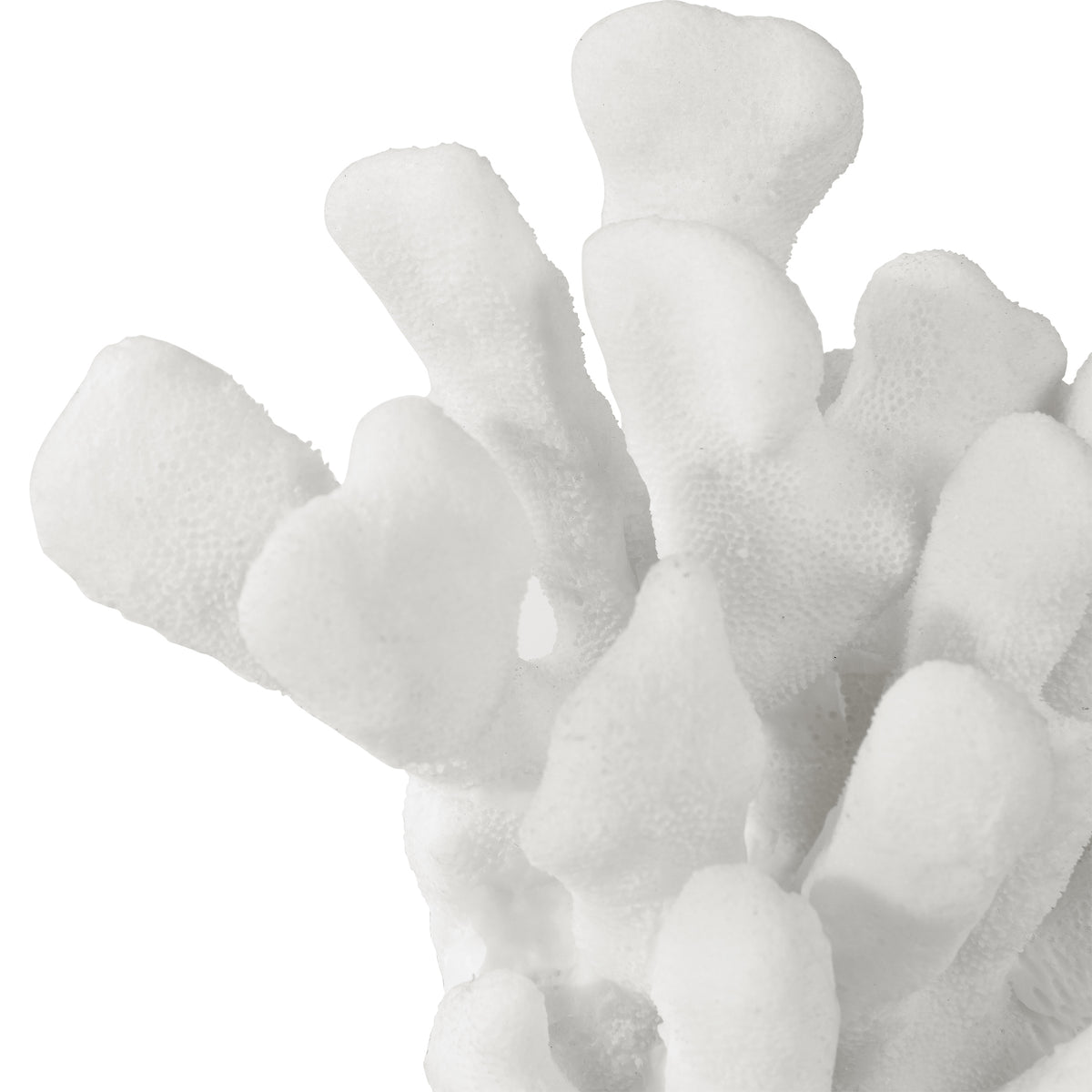 Charbel Bookends, S/2