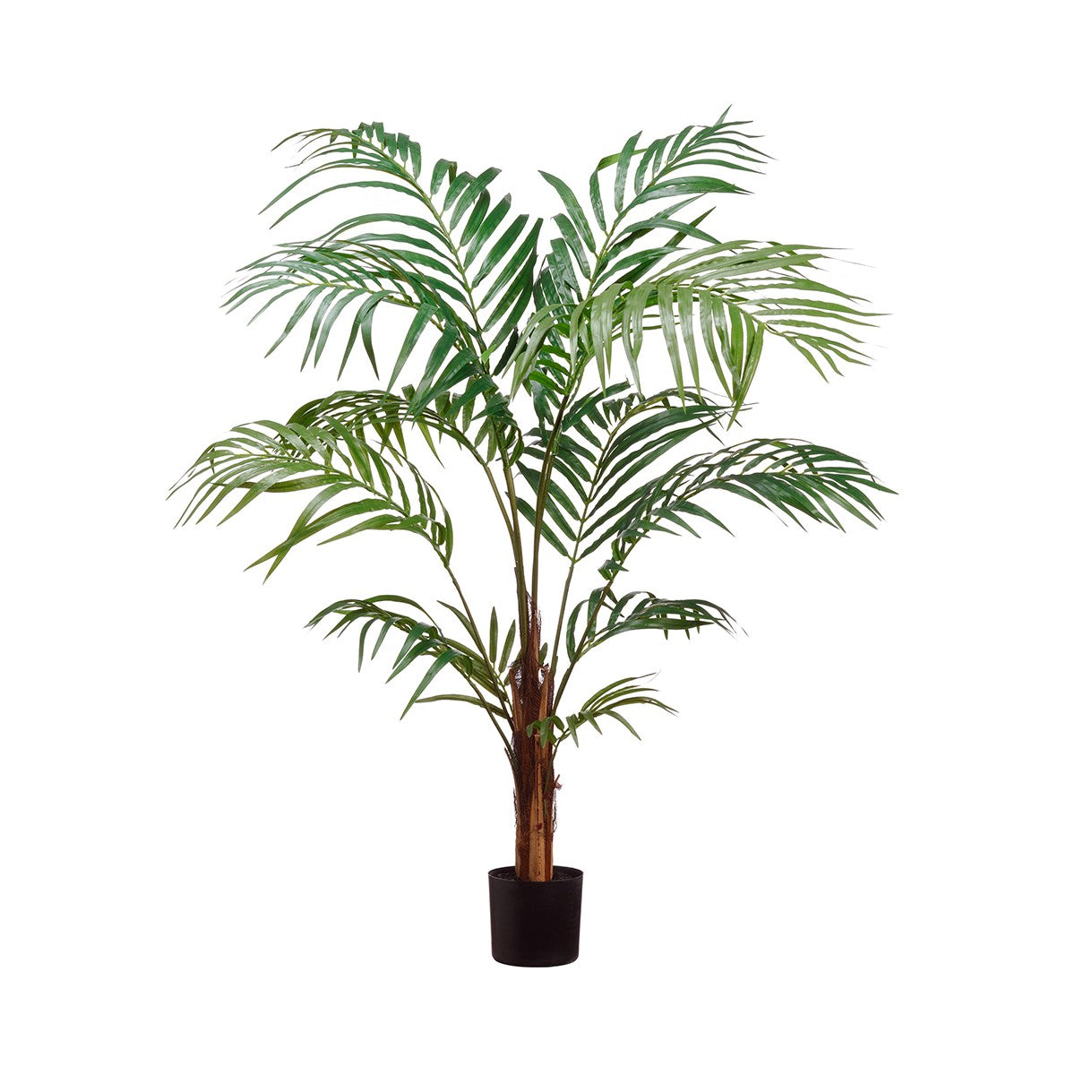 48" Areca Palm Tree