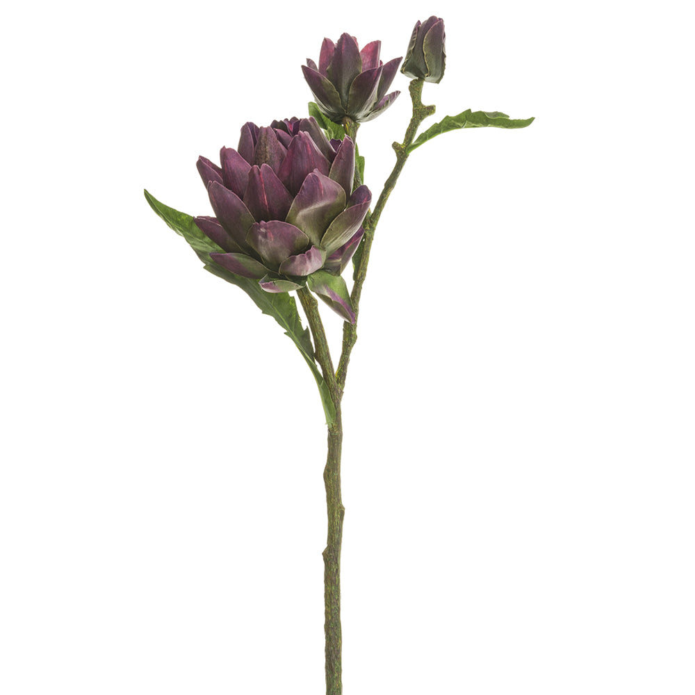 Artichoke Spray
