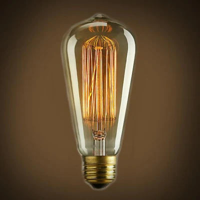 Edison Bulb - Squirrel Cage