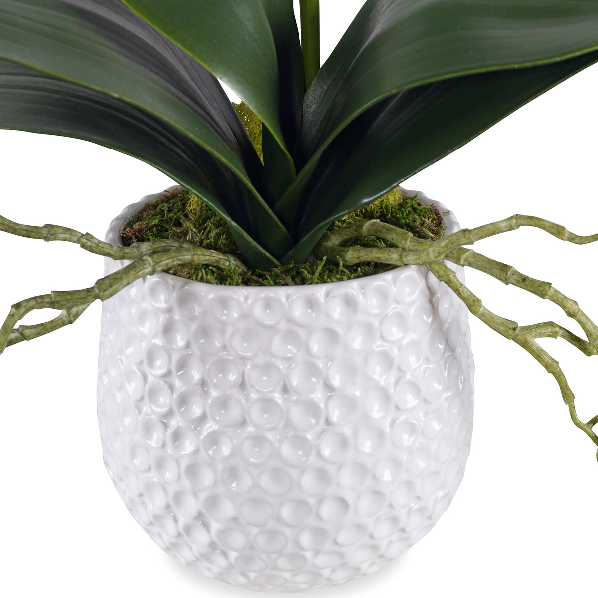 Cami White Orchid - Artificial