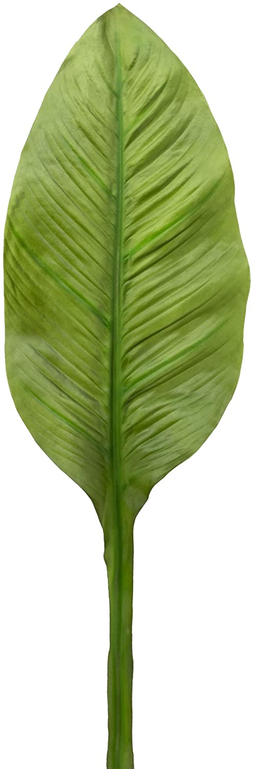 Banana Leaf