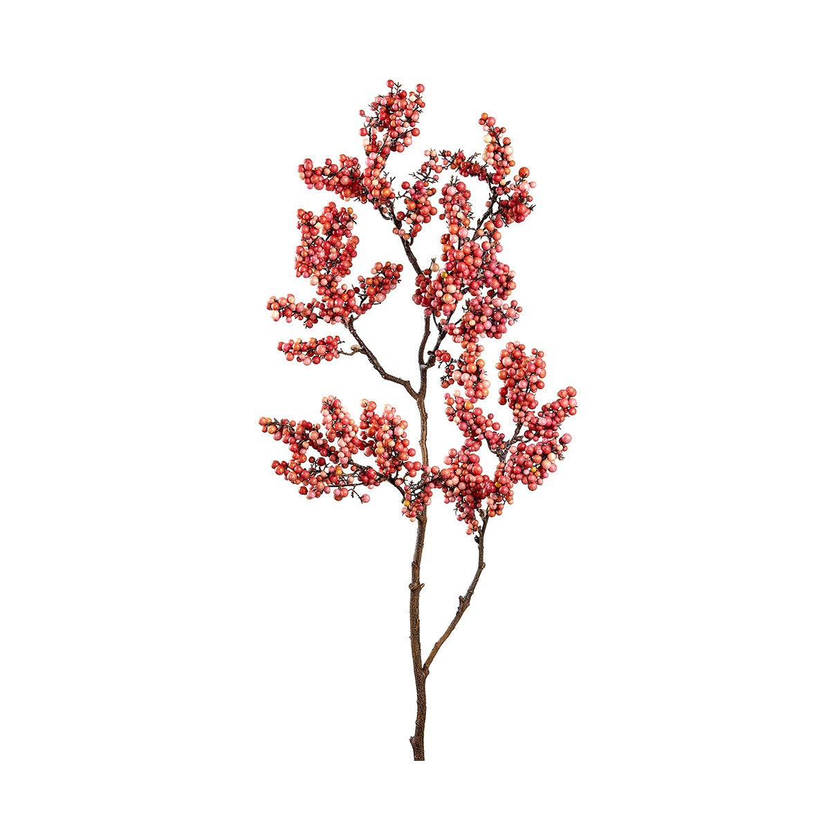 Berry Branch