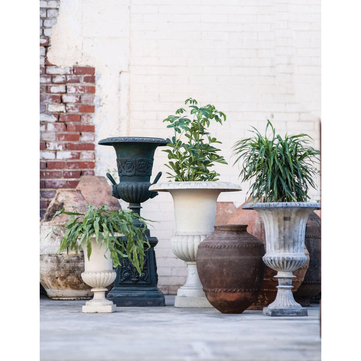 Cupane Urn Lead